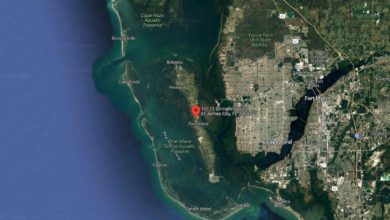 Pine Island Real estate, Commercial Real Estate Pine Island