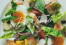Bar Terroir Opening Soon