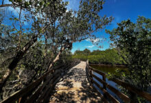 Emerson Point Reserve,