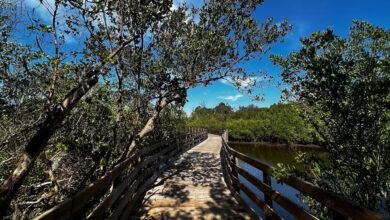 Emerson Point Reserve,