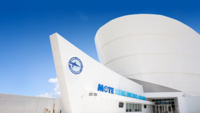 Mote SEA grand opening, Mote Science Education Aquarium, Sarasota aquarium, UTC aquarium Sarasota, Mote Marine Laboratory, Sarasota family attractions, Florida aquariums, marine science education, things to do in Sarasota, aquarium tickets Sarasota