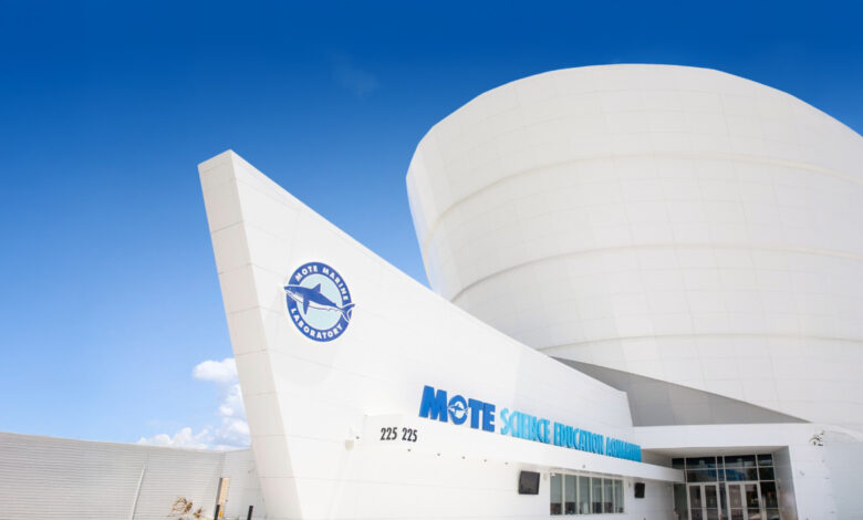 Mote SEA grand opening, Mote Science Education Aquarium, Sarasota aquarium, UTC aquarium Sarasota, Mote Marine Laboratory, Sarasota family attractions, Florida aquariums, marine science education, things to do in Sarasota, aquarium tickets Sarasota