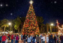 St Armand's Circle Christmas lights, St. Armands Circle Christmas Lights, Sarasota holiday events, St. Armands tree lighting, Sarasota Christmas festival, Lido Key holiday lights, St. Armands Circle events, Sarasota Christmas 2025, holiday night of lights Sarasota, Sarasota family events, Sarasota shopping district holidays