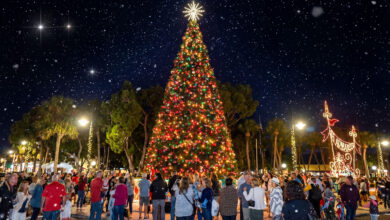 St Armand's Circle Christmas lights, St. Armands Circle Christmas Lights, Sarasota holiday events, St. Armands tree lighting, Sarasota Christmas festival, Lido Key holiday lights, St. Armands Circle events, Sarasota Christmas 2025, holiday night of lights Sarasota, Sarasota family events, Sarasota shopping district holidays