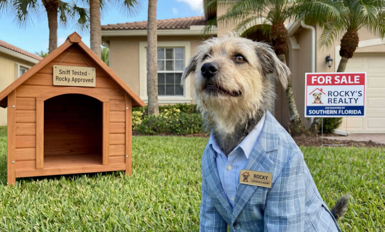 Florida real estate market, Florida real estate outlook 2026, Florida commercial real estate, Florida property trends, real estate market analysis Florida, Florida real estate growth, Florida investment property, commercial real estate Florida, Florida housing market trends, Extended Reach Florida real estate, Florida real estate commentary, year end real estate outlook Florida, Florida CRE trends