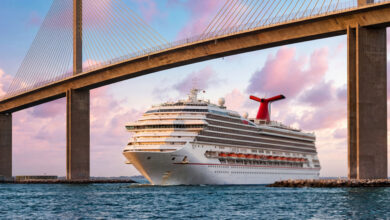 Rattlesnake Key cruise port, Sunshine Skyway Bridge traffic, Tampa Bay cruise port proposal, Manatee County port development, Skyway Bridge congestion, Tampa Bay infrastructure impact, cruise port traffic concerns, Terra Ceia Bay development, Manatee County transportation planning, Tampa Bay regional traffic