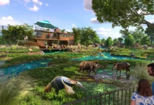 ZooTampa South America Planned habitat, ZooTampa expansion, ZooTampa Tampa, ZooTampa funding, Tampa tourism investment, ZooTampa growth
