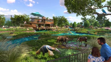 ZooTampa South America Planned habitat, ZooTampa expansion, ZooTampa Tampa, ZooTampa funding, Tampa tourism investment, ZooTampa growth