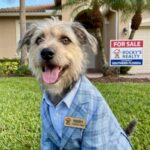 Photo of Rocky Real Estate Agent